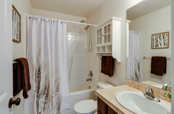 Why Hiring a Professional for Your Shower Installation is a Smart Choice