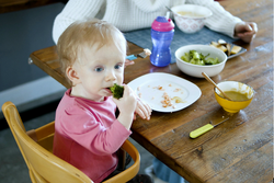 8 Ways to Raise a Family with Healthy Eating Habits