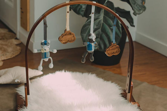 the perfect holiday splurge:<br />eco-friendly baby play gym