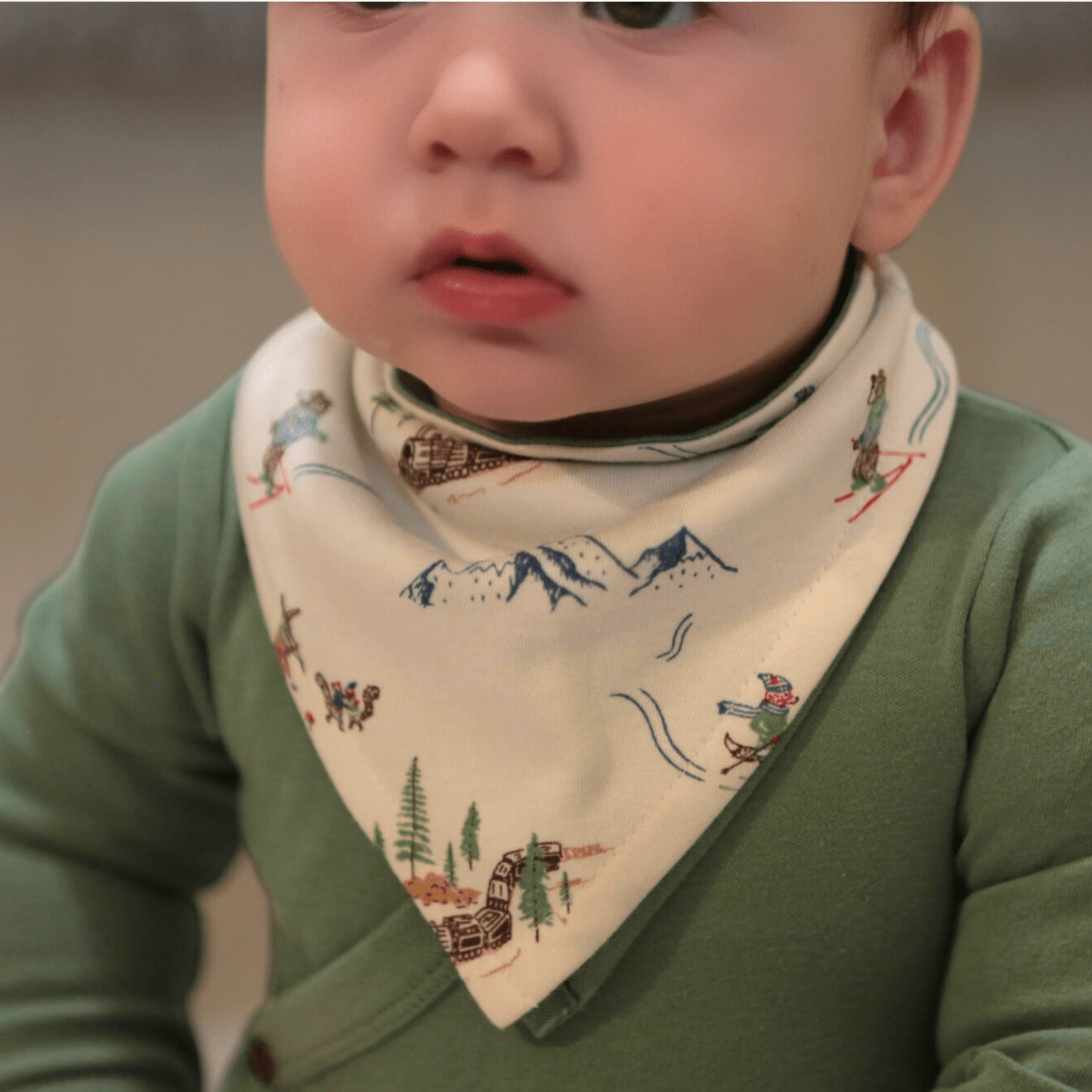 Baby kerchief bib | mountain express finn + emma