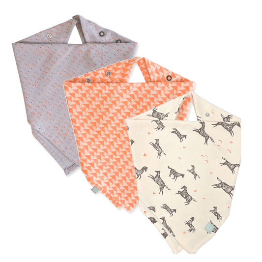 Baby gift set | coral 3pc lovie bib Finn + Emma