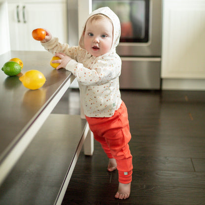 Baby hoodie | tutti frutti finn + emma