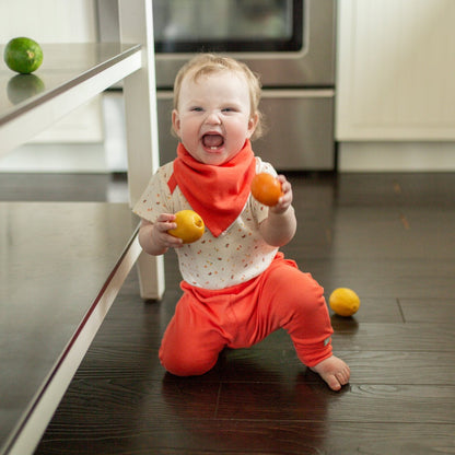 Baby kerchief bib | tutti frutti finn + emma