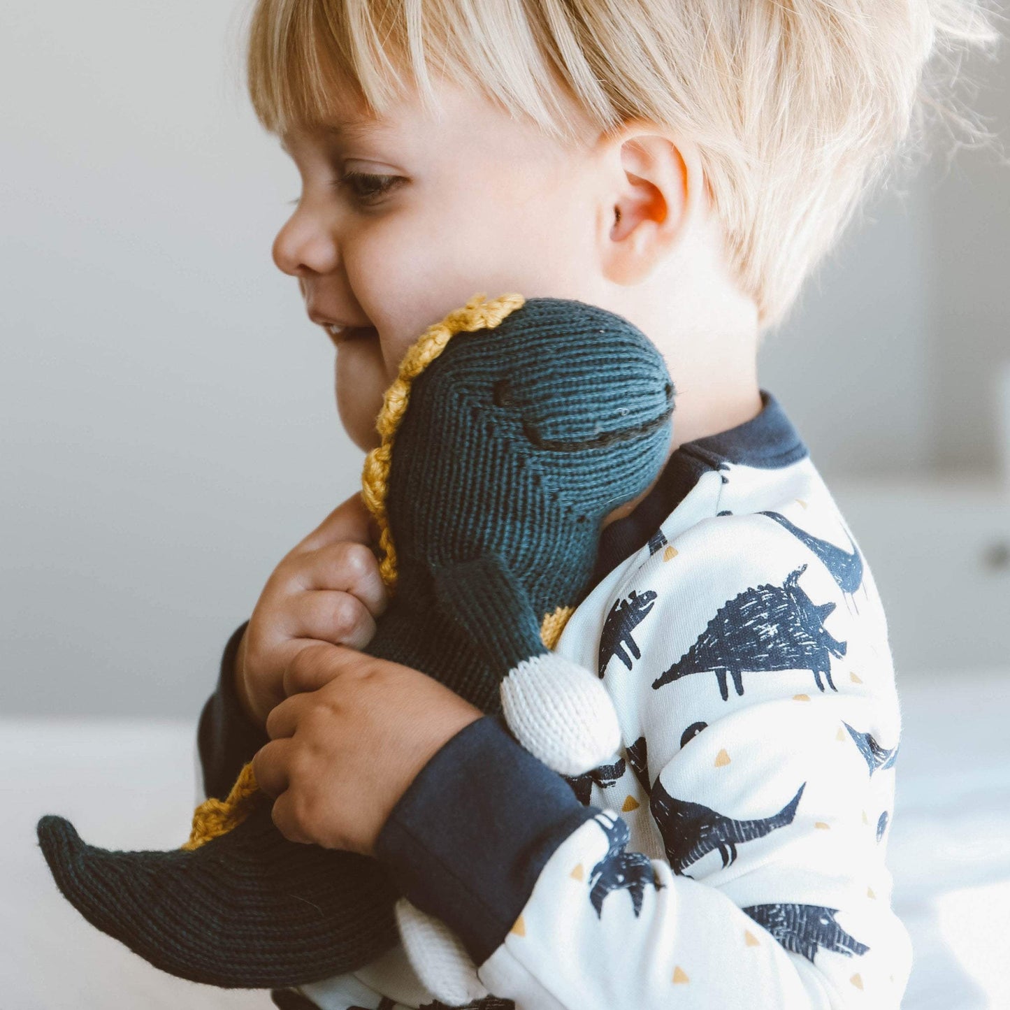 Baby rattle buddy | maxwell the dino finn + emma